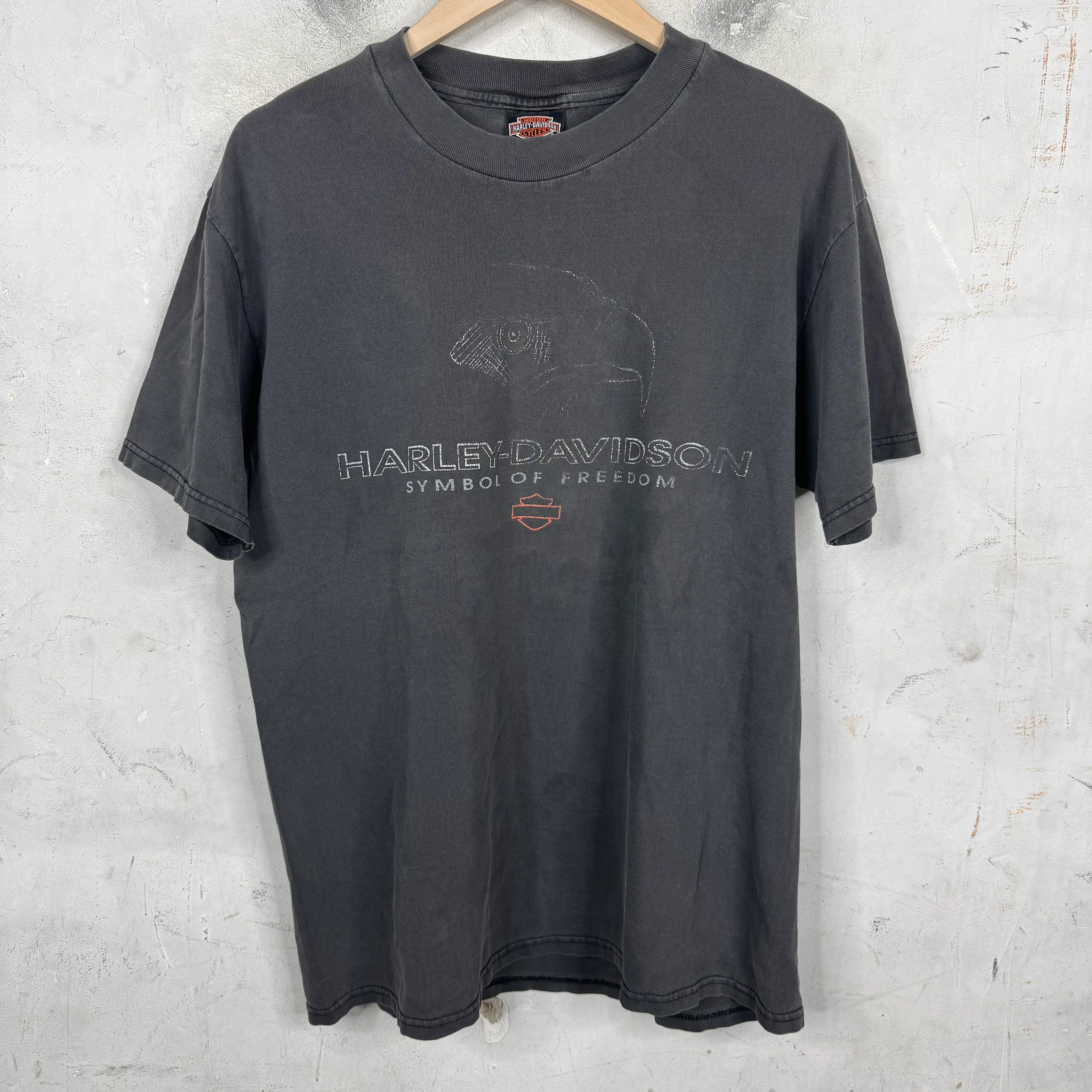Vintage Harley Davidson Savannah Eagle T-Shirt
