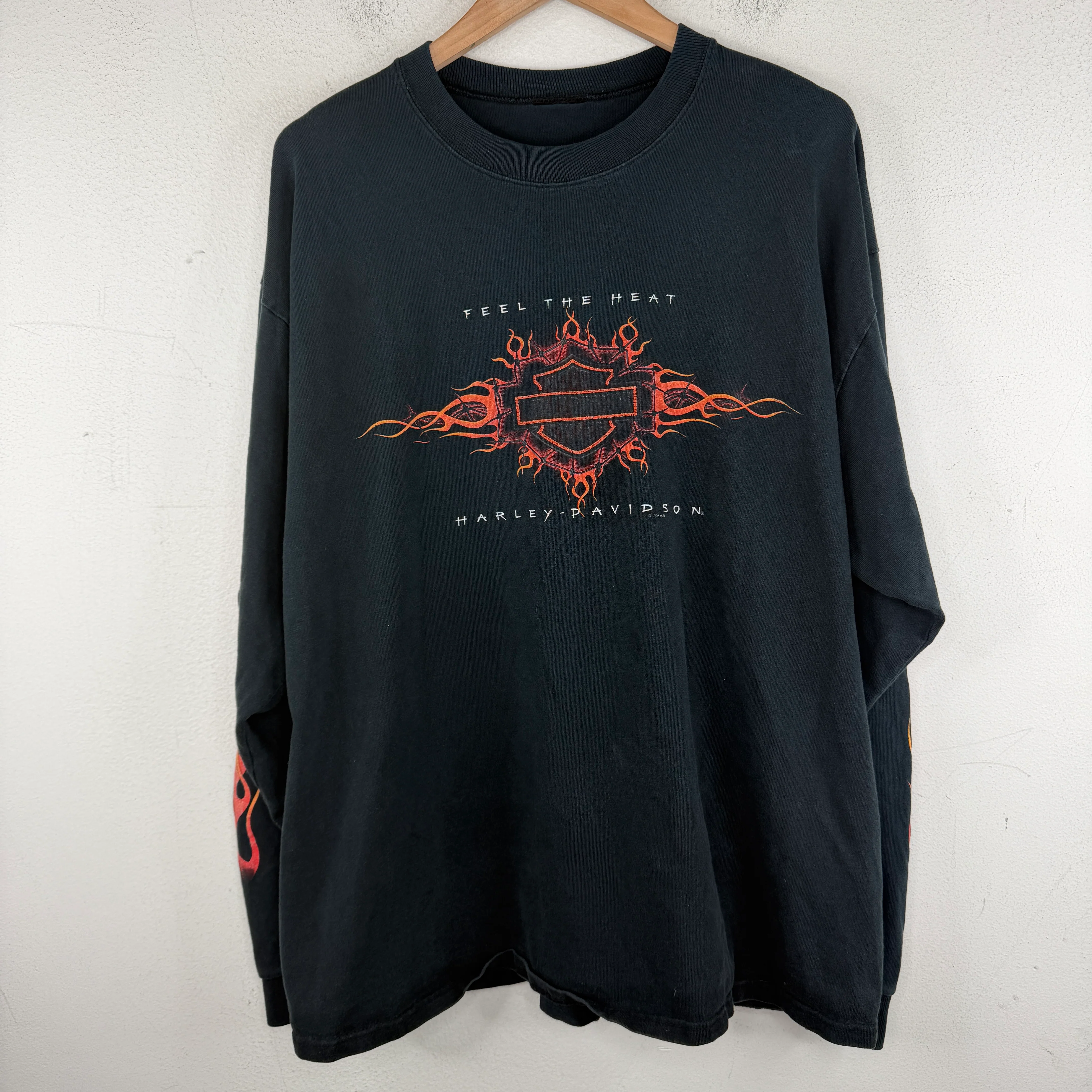 Vintage Harley Feel The Heat L/S T-Shirt